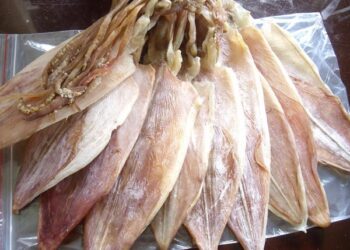 Đi Hạ Long mua quà gì? Đặc sản Hạ Long làm quà, Mực khô