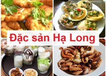 Ăn gì ở Hạ Long? Các món ăn đặc sản Hạ Long