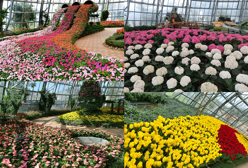 Kinh nghiệm đi Vinpearl Nha Trang đầy đủ kèm giá vé. Review Vinwonders Nha Trang