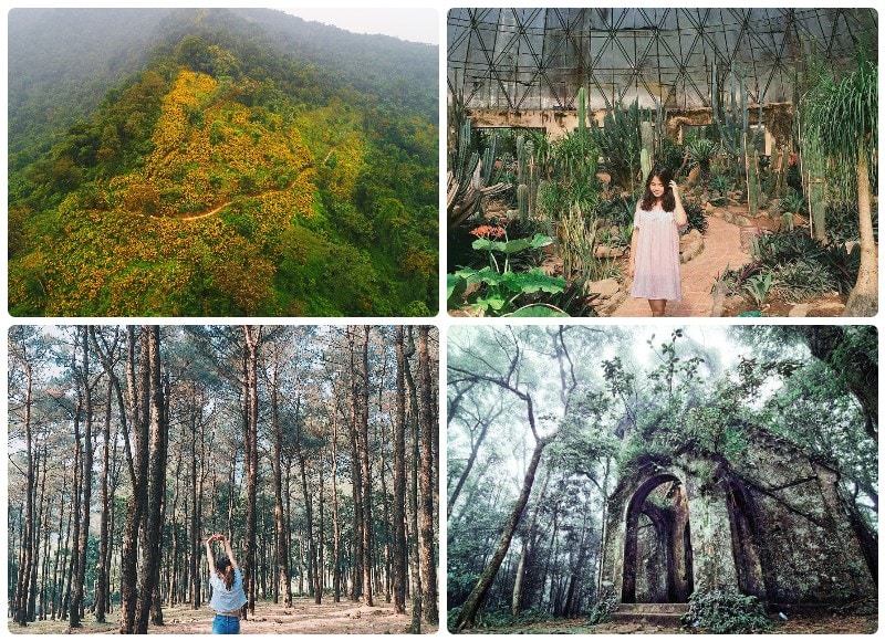 Du lịch Ba Vì nên đi đâu, vườn quốc gia Ba Vì