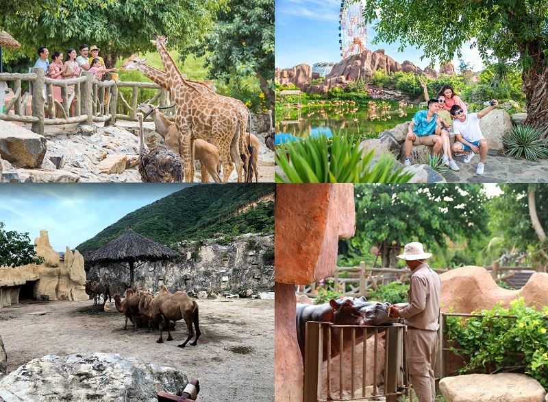 Kinh nghiệm du lịch Vinwonders Nha Trang. Vườn thú ở Vinpearl Land Nha Trang
