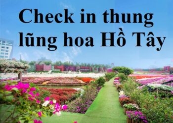 Chụp ảnh ở thung lũng hoa Hồ Tây: giá vé, đường đi, giờ mở cửa mới nhất