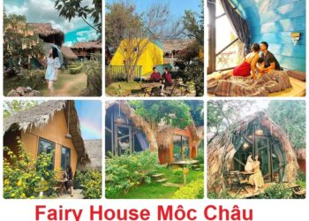 Homestay Mộc Châu view đẹp, Fairy House