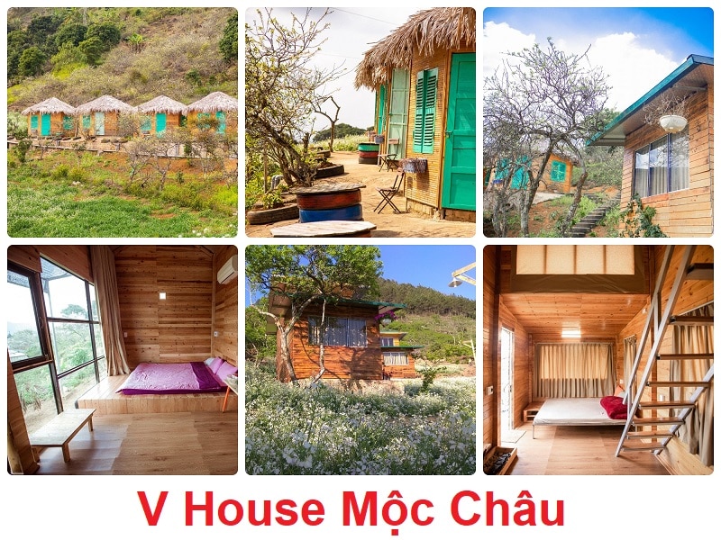 Homestay Mộc Châu chụp ảnh đẹp, V House Mộc Châu