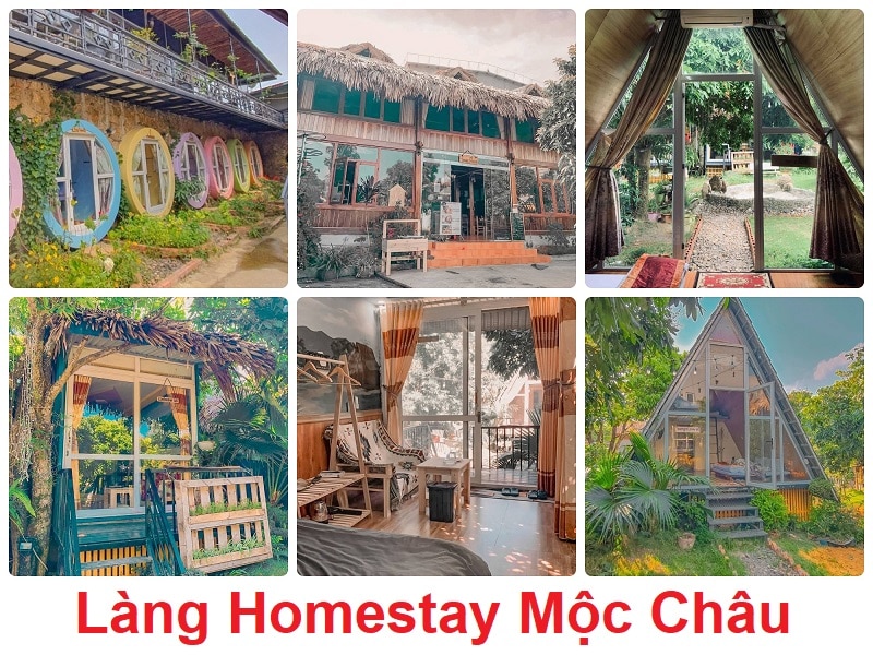 Làng Homestay, Homestay ở Mộc Châu được yêu thích nhất