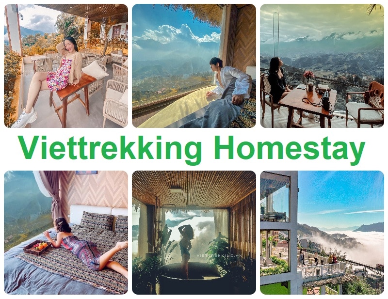 Homestay ở Sapa nổi tiếng, view đẹp. Vietrekking Homestay