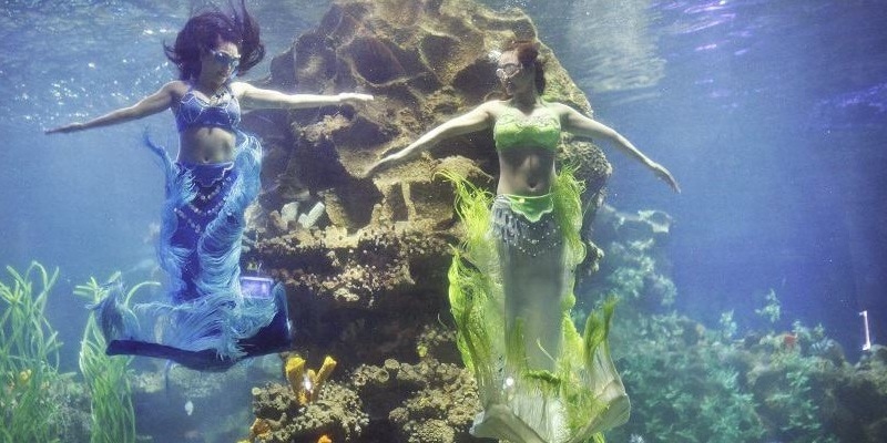 Kinh nghiệm đi chơi Vinwonders Phú Quốc. Show diễn nàng tiên cá