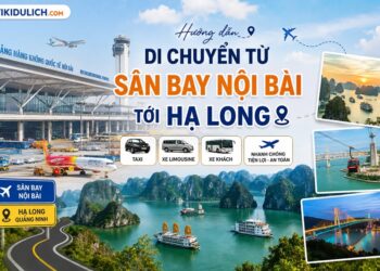Cách di chuyển từ Sân Bay Nội Bài đến Hạ Long. Đi từ Nội Bài đến Hạ Long bằng cách nào