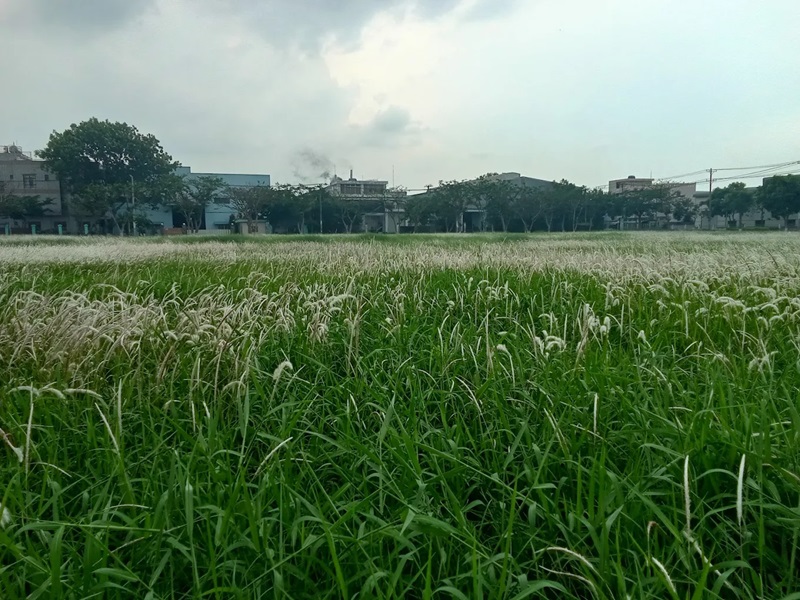 Địa điểm chụp ảnh cưới miễn phí ở Sài Gòn. Ở Sài Gòn chụp ảnh cưới ở đâu miễn phí
