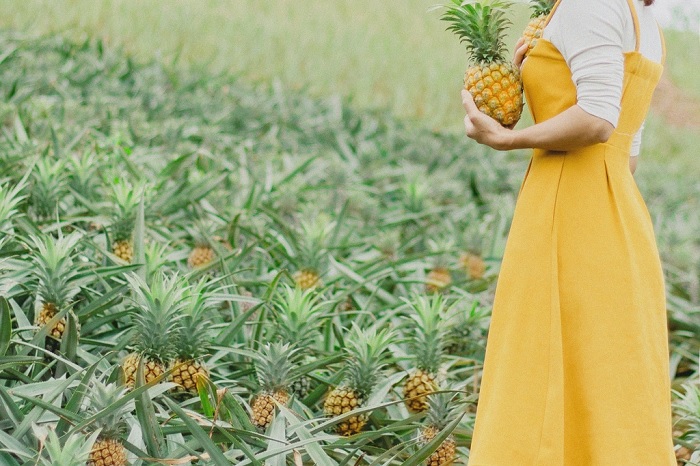 Địa điểm du lịch Bắc Giang. Địa điểm du lịch đẹp Bắc Giang