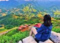 Địa điểm du lịch một mình ở Việt Nam. Ở Việt Nam nên đi đâu một mình