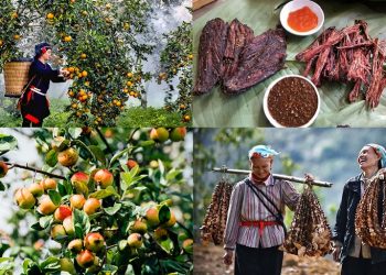 Top 15 món đặc sản Hà Giang làm quà siêu chất lượng, ý nghĩa