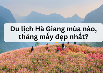 Du lịch Hà Giang mùa nào, tháng mấy đẹp, lý tưởng nhất?