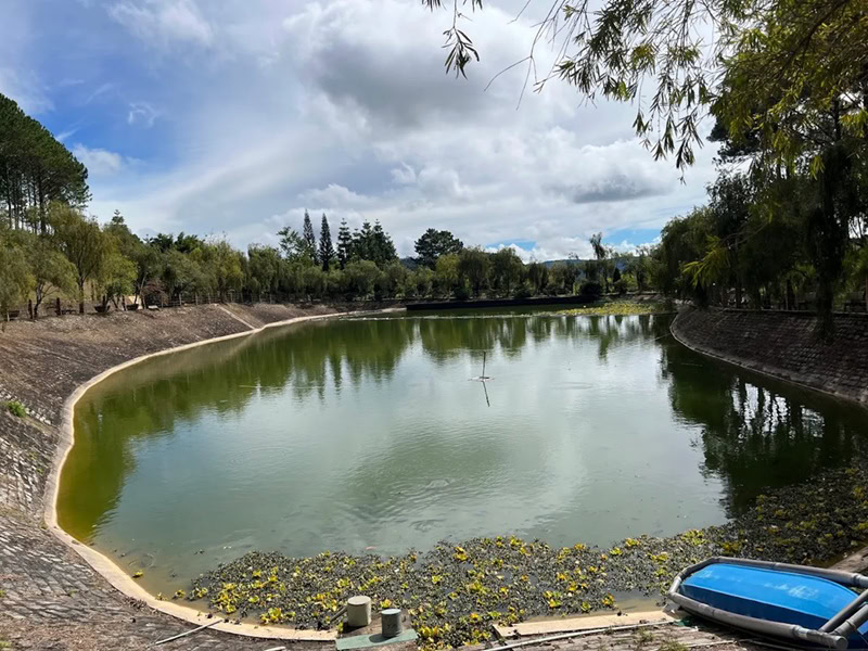 Kinh nghiệm đi thiền viện trúc lâm Đà Lạt. Thiền viện trúc lâm Đà lạt có gì