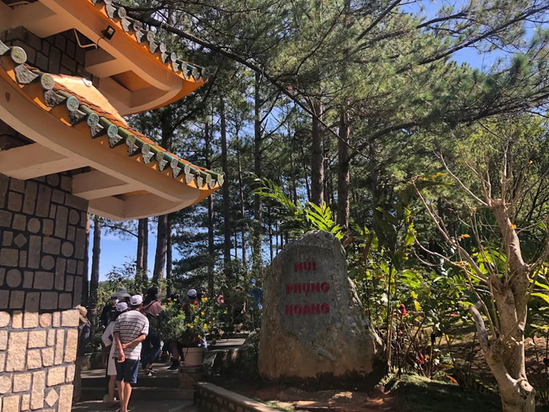 Kinh nghiệm đi thiền viện trúc lâm Đà Lạt. Thiền viện trúc lâm Đà lạt có gì