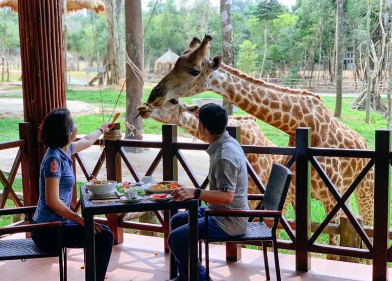 Kinh nghiệm đi Vinpearl Safari Phú Quốc. Kinh nghiệm đi Vinpearl Safari Phú Quốc tự túc