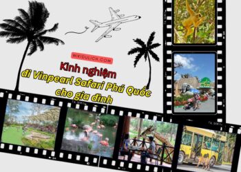 Kinh nghiệm đi Vinpearl Safari Phú Quốc. Kinh nghiệm đi Vinpearl Safari Phú Quốc tự túc
