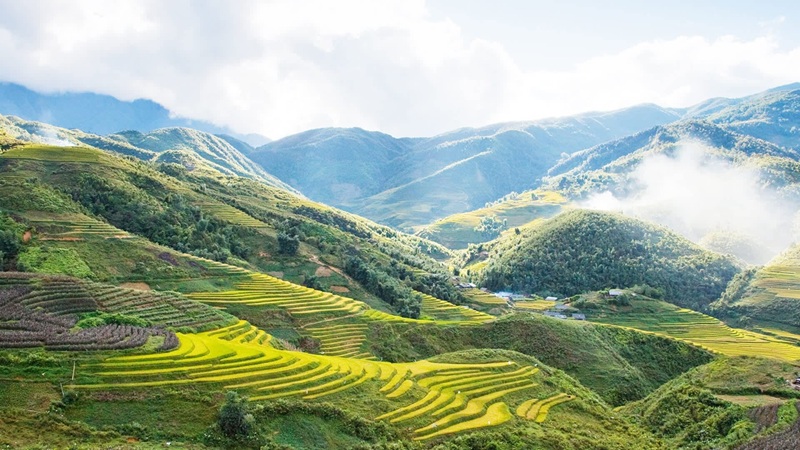 Kinh nghiệm du lịch Sapa 2 ngày 1 đêm. Du lịch Sapa 2 ngày 1 đêm