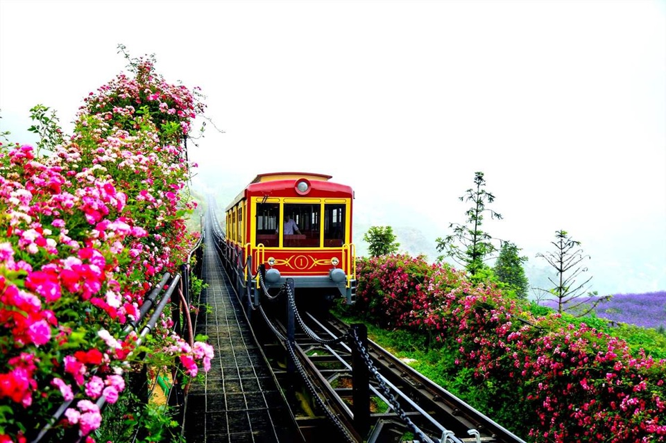 Kinh nghiệm du lịch Sapa 2 ngày 1 đêm. Du lịch Sapa 2 ngày 1 đêm