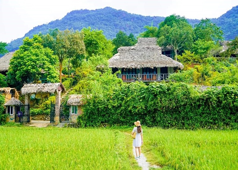 Kinh nghiệm du lịch Bản Lác Mai Châu. Có nên du lịch Bản Lác Mai Châu