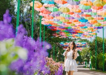 Check-in ở vườn hoa Đà lạt. Kinh nghiệm tham quan vườn hoa thành phố Đà Lạt