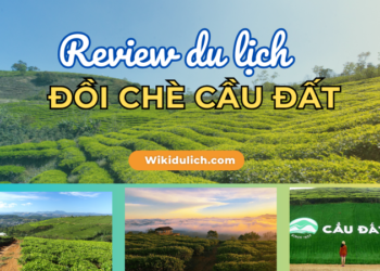 Review đồi chè Cầu Đất có gì đẹp, ở đâu, giá vé