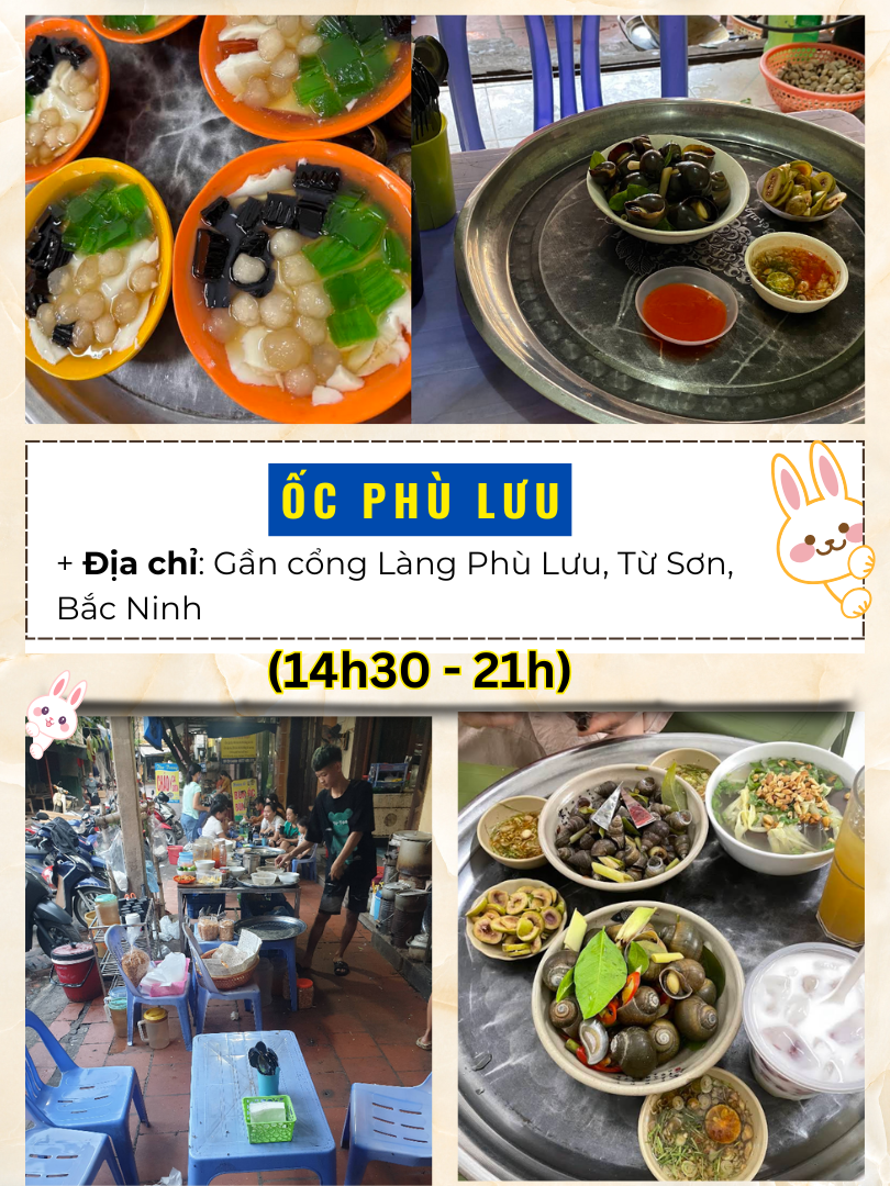 Du lịch Bắc Ninh ăn quán nào ngon? Địa chỉ ăn uống Bắc Ninh. Ốc Phù Lưu