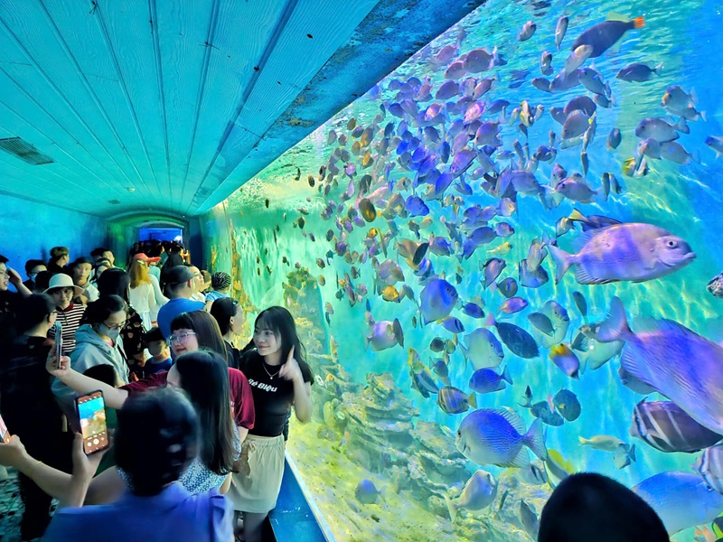 Du lịch Nha Trang mùa nào đẹp. Nên du lịch Nha Trang mùa nào