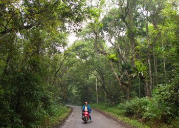 Hướng dẫn kinh nghiệm đi vườn quốc gia Cúc Phương