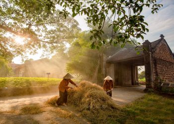 Kinh nghiệm đi làng cổ Đường Lâm
