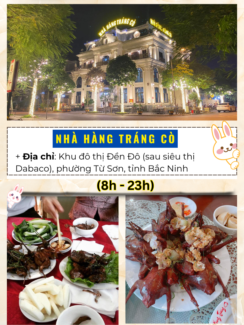 Nhà hàng, quán ăn ngon nổi tiếng ở Bắc Ninh. Tráng Cò