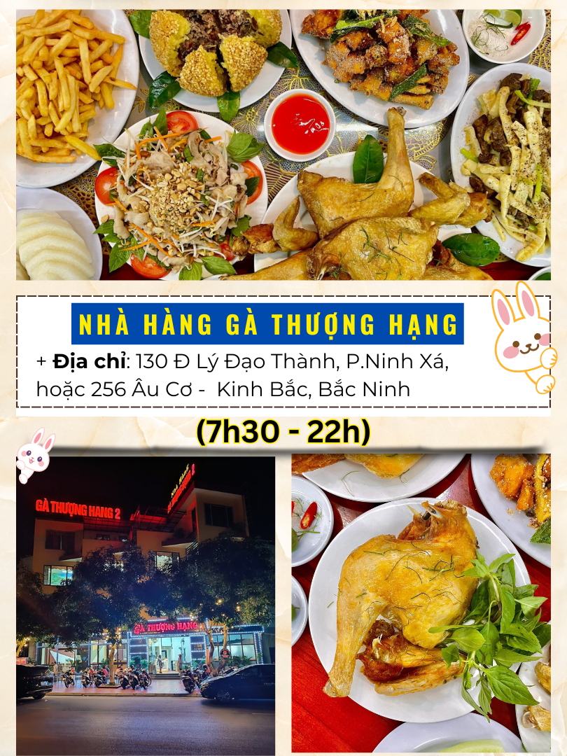 Review ăn uống ở Bắc Ninh. Nhà hàng, quán ăn ngon rẻ ở Bắc Ninh. Gà Thượng Hạng Bắc Ninh