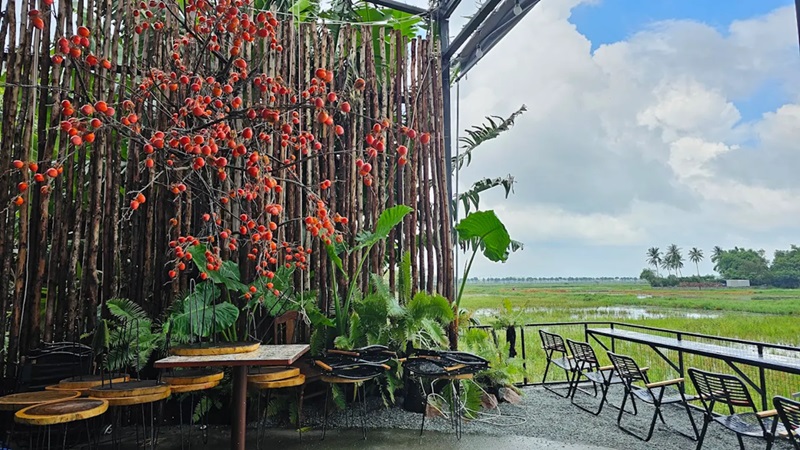 Quán cafe ở Hội An. Quán cafe nổi tiếng ở Hội An
