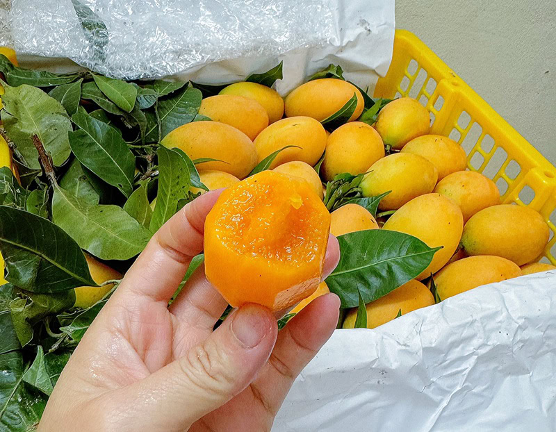 Đặc sản Vĩnh Long làm quà. Mua gì ở Vĩnh Long làm quà