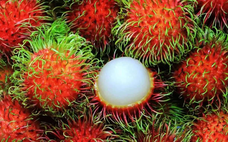 Đặc sản Vĩnh Long làm quà. Ở Vĩnh Long mua gì làm quà