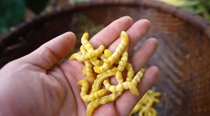 Món ăn đặc sản Điện Biên. Ăn gì ở Điện Biên