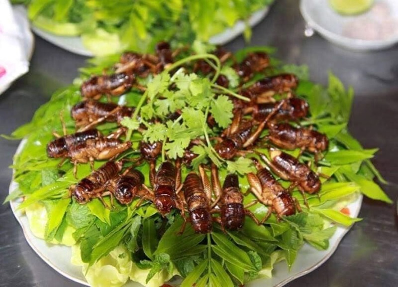 Món ăn đặc sản Kon Tum. Món ăn dân dã ở Kon Tum