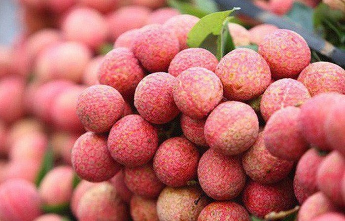 Đặc sản Hải Dương làm quà. Vải thiều Thanh Hà