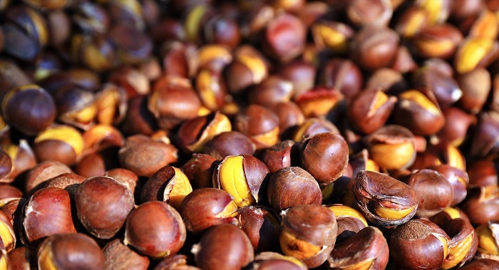 Những món ăn ngon đặc sản Cao Bằng. Hạt dẻ Trùng Khánh