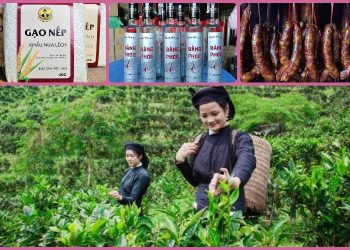 TOP 10 món đặc sản Bắc Kạn làm quà đáng tiền, nên mua nhất