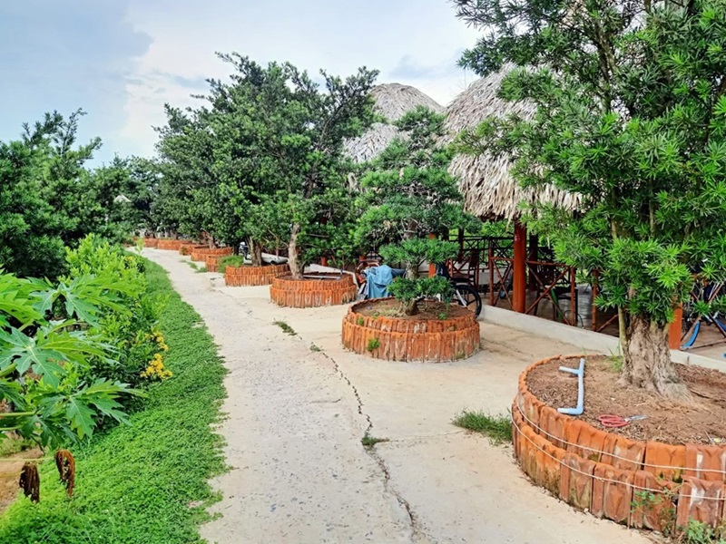 Địa điểm du lịch Tiền Giang. Nên đi đâu chơi ở Tiền Giang