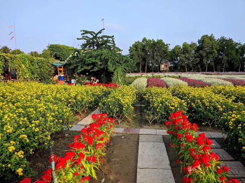 Địa điểm du lịch Tiền Giang. Ở Tiền Giang nên đi đâu chơi