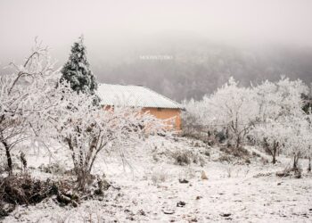 Khi nào Sapa có tuyết rơi?