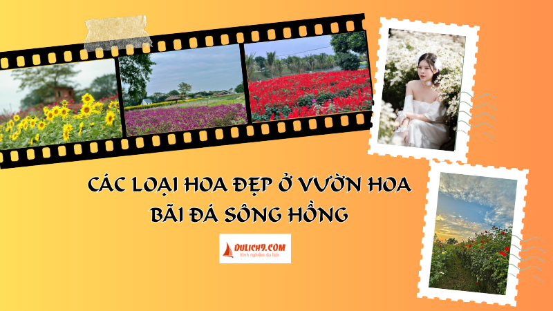 Review vườn hoa bãi đá sông hồng có hoa gì đẹp?