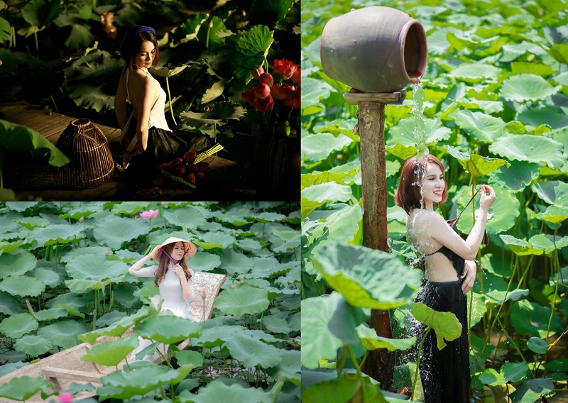 Review vườn hoa bãi đá sông Hồng mùa hoa sen