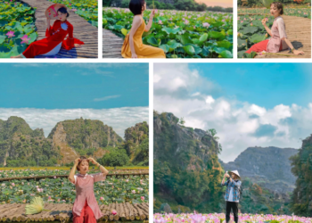 Mùa sen Ninh Bình vào tháng mấy?