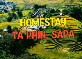 Các homestay đẹp ở bản Tả Phìn Sapa