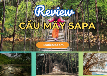 Review du lịch Cầu Mây Sapa chi tiết đường đi, có gì đẹp, ở đâu?