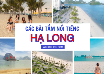 Các bãi tắm đẹp nhất ở Hạ Long