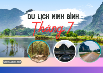 Review du lịch Ninh Bình tháng 7 có gì đẹp, nên đi đâu chơi, tham quan?